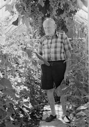 The biggest disappointment–that would be having to get out of this place and go somewhere else. All these places here, both sides of the river, out the back there, all those houses behind us, yeah, all going to go. Gotta come down. Lot of memories. This place was a hub in the old days. The wife’s people down in Dunedin, other parts of the family from Brisbane, from Australia, we were sort of a centre. It was a meeting place, people coming and going. Well, these days it’s not so busy but it’s still my home. I’ve still got a roof over my head so I’m not going anywhere just yet. Not for a while. This has been home for 38 years and that’s a long time to be told they’re gunna bulldoze you out and you’ve just got to bugger off. I’m not saying that I wanted things to change but it has and you have to be a man about it, just get on with it. Not to say there isn’t still a lot of memories here, a certain amount of regret, but in the end I don’t have a lot of choice. All I can do is start again and make a new life. Take it in your stride, that’s the story. I know it’ll never be the same, not after what I’ve got here–the garden I’ve established here. When my wife had no legs I couldn’t get away from home so much and I spent a lot of time out there. All the vegetables I grew and gave away to the friends and neighbours, I’m going to miss all that. I’m going to miss them. We were all pretty close but most of them have gone now. There’s still friends I want to see but if you think about it, at my age, a lot of your friends have already disappeared haven’t they. The fact is I’m 86 now so I haven’t got that long to live myself. I wish we hadn’t had these earthquakes but it looks like we’ll have them now for some years to come. Some say they’ll be around for donkeys’ years, so I may never see the end of them. So what, I’ve just got to forget about them–oh yeah, there goes another shake sort of thing. You can’t spend your life worrying about them. Take my house now, I’ve got a few cracks and scratches here and there and sometimes the doors will get jammed. Today it’s jammed but then tomorrow it will open. You never know from one day to the next what it’ll be like. Well, when you think about it, life’s always been a bit like that eh. 