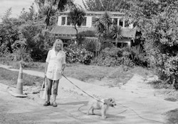 You get a lot of different reactions I suppose. People I’ve known, people I’ve been friendly with, have drawn away while others become closer. Personally, I’ve found myself becoming more amiable, more chummy, I wouldn’t want it the other way round. I like to talk–we have to talk to each other–it keeps us sane. Where we are temporarily there’s a shop just down the road a little way and people are always passing by. I find if I’m in the front yard people will always stop for a natter. ‘Hello, how have you fared,’ sort of thing. Every one of them has a story and it’s so interesting to hear them. Very therapeutic and lets face it, the need to tell those stories is going to be with us for a very long time. It helps that Chris and I have a lot of fun, a lot of laughter between us, and I think in many ways it’s what keeps us together. Keeps us going. You know, we can have a bitch but at the end of the tunnel we can see the light, and we can laugh about it. We do laugh about it. Without it–without that sense of fun–well you’d be feeling a bit helpless wouldn’t you. A bit of humour, it’s what you need to survive right now. Anyway, it certainly helps us. Plus I’m an optimist. Did I say that. Well, you have to be don’t you. Otherwise, goodness me, you might just as well start digging the hole right now.