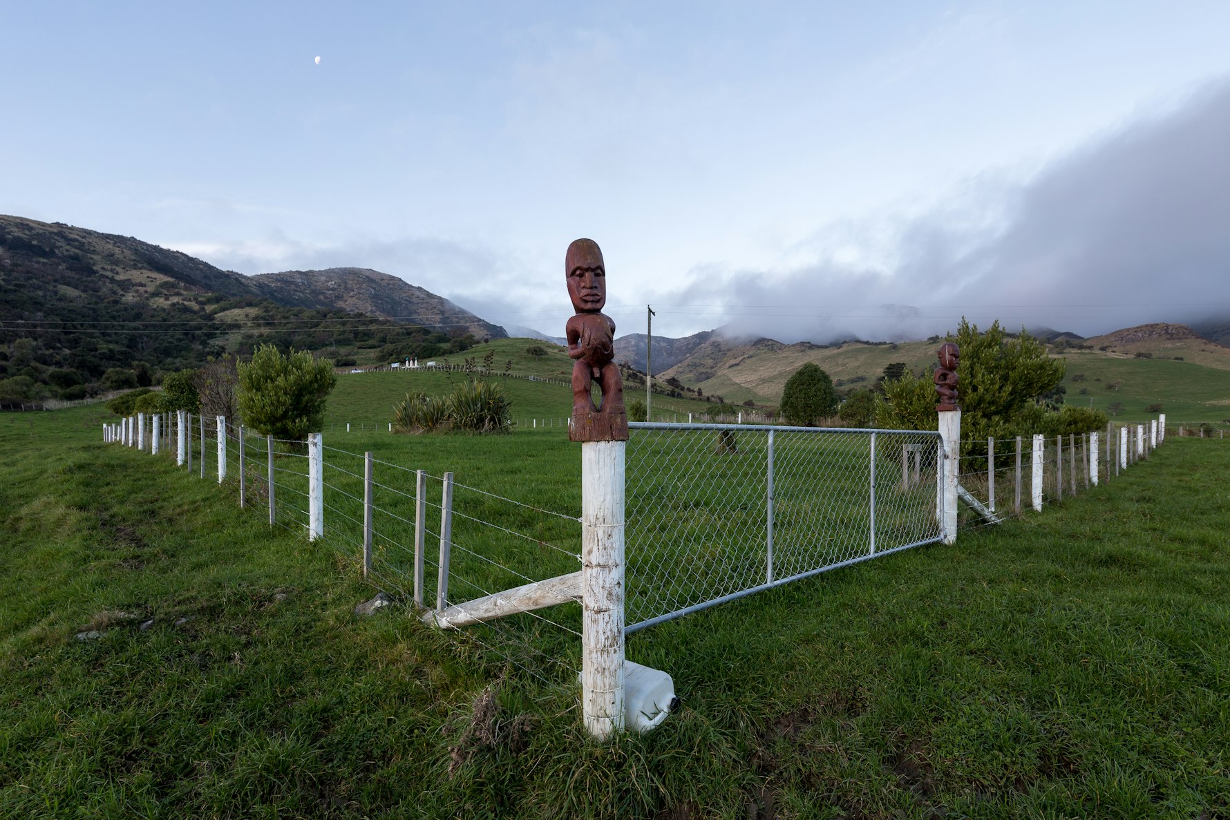 Bloodlines - Arabella Spoors