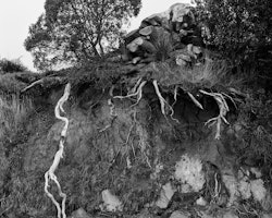 Whakapapa, The layering of history which is created by reciting genealogies and legends, an important skill central to Māori culture. Whakapapa connects us to our ancestors and the land. By recalling myths, stories and events we add layers, meaning and experience into and onto the land.