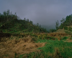 The Maruia Declaration was a public petition presented to parliament in 1977 calling for the immediate phasing out of the logging of virgin native forest in New Zealand. It carried 341,160 signatures. Logging has been identified as an industry that has the potential to help the West Coast economy–creating jobs for skilled workers. For this to happen, legislation would need to change.