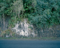 The West Coast community functions in environmental tension, with their livelihood relying on extraction industries, while also being strongly passionate about the protection of their wildlife/flora and fauna. The use of 1080 poison bait to keep populations of possums, rats and stoats under control is highly contested, with concerns for native birds and water supply.