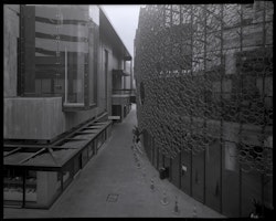 Wide-field Dagor 150mm f45 – 16 seconds