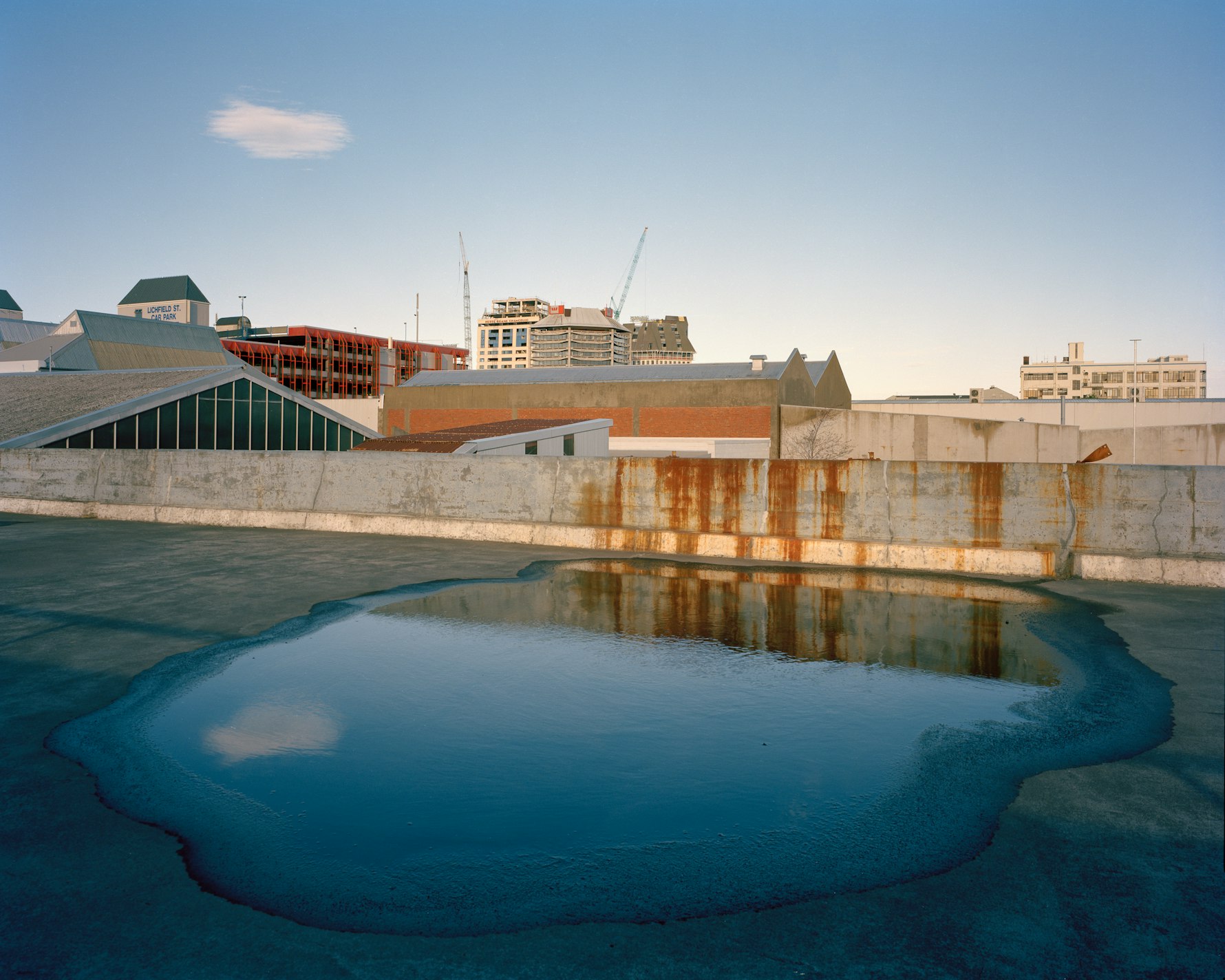 Adaptation - Tim J. Veling