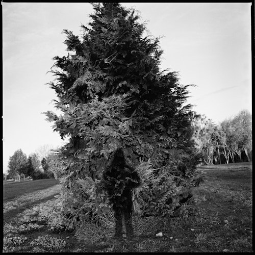 Rewilding - Tim J. Veling