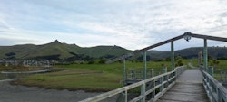 Christchurch Maori Village. Facing West.