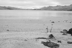 I first came from Germany in 1986 and absolutely fell in love with this country. To me it was like this is how God wanted the world to be. This is how he made it – very unspoiled. I bought a van and travelled all over the South Island. Everywhere I went was so beautiful it moved me to tears. After a year I had to leave, but I was determined to come back, and I did. It must be, what, something like fifteen years that I’ve lived here now. I love to swim and I think someone must have told me about Rapaki. I’m sure I didn’t just stumble across it, because it’s difficult to find. I went to other places as well, other beaches: Sumner, Corsiar Bay, South Shore. None of them measured up to Rapaki. Over the years it has become my favourite place. I’m a very sensitive person and I get affected somehow by the energy of the place. Rapaki’s very calming, with almost a healing sort of energy, a place that’s both quiet and safe at the same time. You lie there on the beach and there’s this wonderful openness of still water. Above you, in the summer, is a hill covered in golden grass, and beyond, a totally blue sky. I never get tired of looking at that. Everything about it is special. Even before I get there, just driving through the Lyttelton tunnel on my way around the bays, I start to feel different. It’s like I’m leaving a lot of stuff behind and the closer I get, the lighter I feel. By the time I get into the water there and start to swim, I don’t want to stop. I just want to swim and swim and swim and not turn around. I can’t really explain that. I’m sure it has to do with the special energy the place has. I think maybe it is why the Maori people settled there. Or maybe it has that energy because it’s been protected from intrusion and development by Pakeha. Part of me would love to buy a house there, but then I think if that were possible it would lose that specialness somehow. Now it is protected and I feel good about that. I’m very lucky there’s such a place for me to go to.