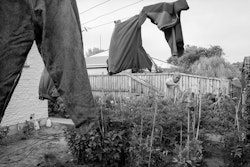 There’s not much to tell you. You have a piece of land, so it’s important not to waste it. That’s why you grow some vegetables. The soil, you use it for the family. I’m not much interested in flowers and things like that. I grow food. Potatoes, carrots, tomatoes, corn, pumpkin – that’s all food for your family. It’s not a very big garden, but it’s better to put the vegetables in than cut the grass. Just a waste of time to cut the grass for nothing. I don’t work now, so every day there’s nothing to do. Also, I’ve got asthma. So, if I’m in the garden I feel better. Digging in the soil, you feel like you can make something better. Recycling, that’s the thing. Dig a hole and put all your scraps and leaves and things in there. Some people say it’s too much trouble, but I say no – later you dig it up and you’ve got the new soil. That’s the thing. It’s nice to watch the garden growing up. The things I grow, we don’t eat all of them. Other people come and ask, please can we have this or that – it’s a very popular garden. I don’t mind, I like that. The Bible says you love your friends and share your food. Some people say I should sell them, but I say, ‘Don’t be stupid. Don’t sell it, give it.’