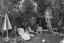 I was looking around for somewhere to go and I saw this little house. It was too expensive, but it was the only place that spoke to me. One of the first things I saw was the glory bush. It was in flower and I said, ‘That’s the thing on Mum’s tea towel.’ My mother had crocheted these flowers around a little tea towel thirty years ago – I have it there on the table now. Then there was a poem I wrote called ‘The Silent Flower’, about a magnolia, and when I looked out of the window there was this huge magnolia in flower. I know it sounds crazy, but those were the two things that sold me on the house. It just seemed right that I should have a garden – that I really needed a garden. I’ve had a great deal of illness, which has meant quite a lot of time in bed. It’s been hard at times – very hard to keep my spirits up. I don’t think I could if I didn’t have surroundings that nourished me. That’s really important – I’d say almost a necessity. For a time I used to live in a little flat in Fitzgerald Avenue, but I found myself getting sicker and sicker living there. It did have a tree in the courtyard, which I wrote poems about, but there was really too much traffic. Too much noise. There’ve even been times here when I’ve thought that perhaps the garden was getting too much for me – that I wouldn’t be able to manage it. Then I realise how important it is to me. How it feels more like home than anywhere I have been for a long, long time. There’s a lovely feeling of community with my neighbours on either side – the kids come over the fence and seem to have such fun playing in the garden – and I love that about it. Having friends here, having something to share with them ...I don’t think I could live without that now. The feeling of creating a peaceful space – a space where people can really relax and have fun together – that’s always been important to me.