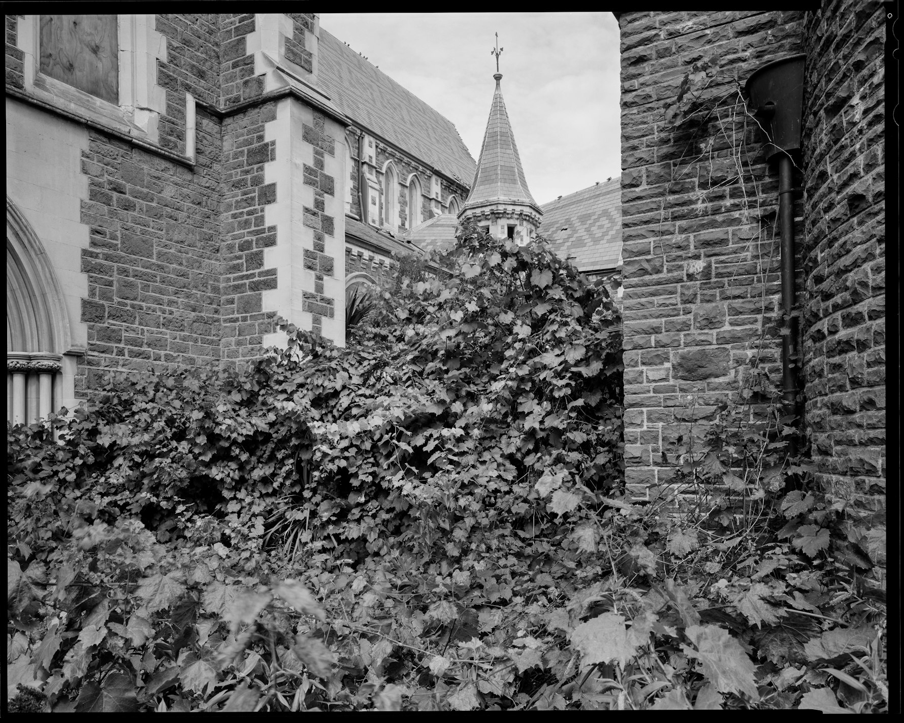 Cathedral Square - Tim J. Veling