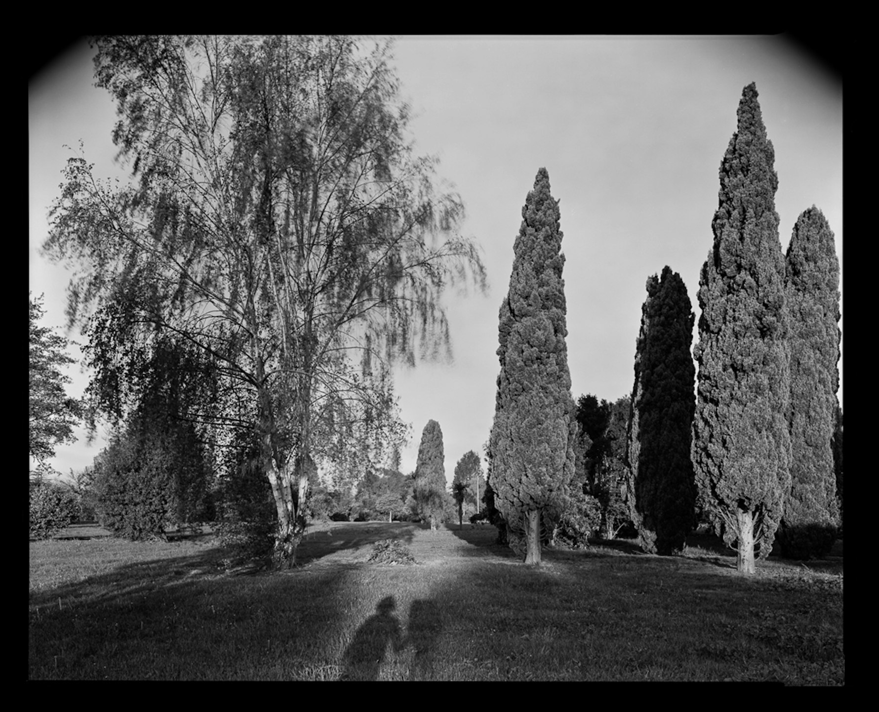 Returnal - Tim J. Veling